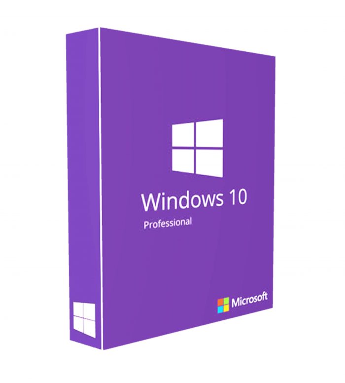 Windows 10 Professional